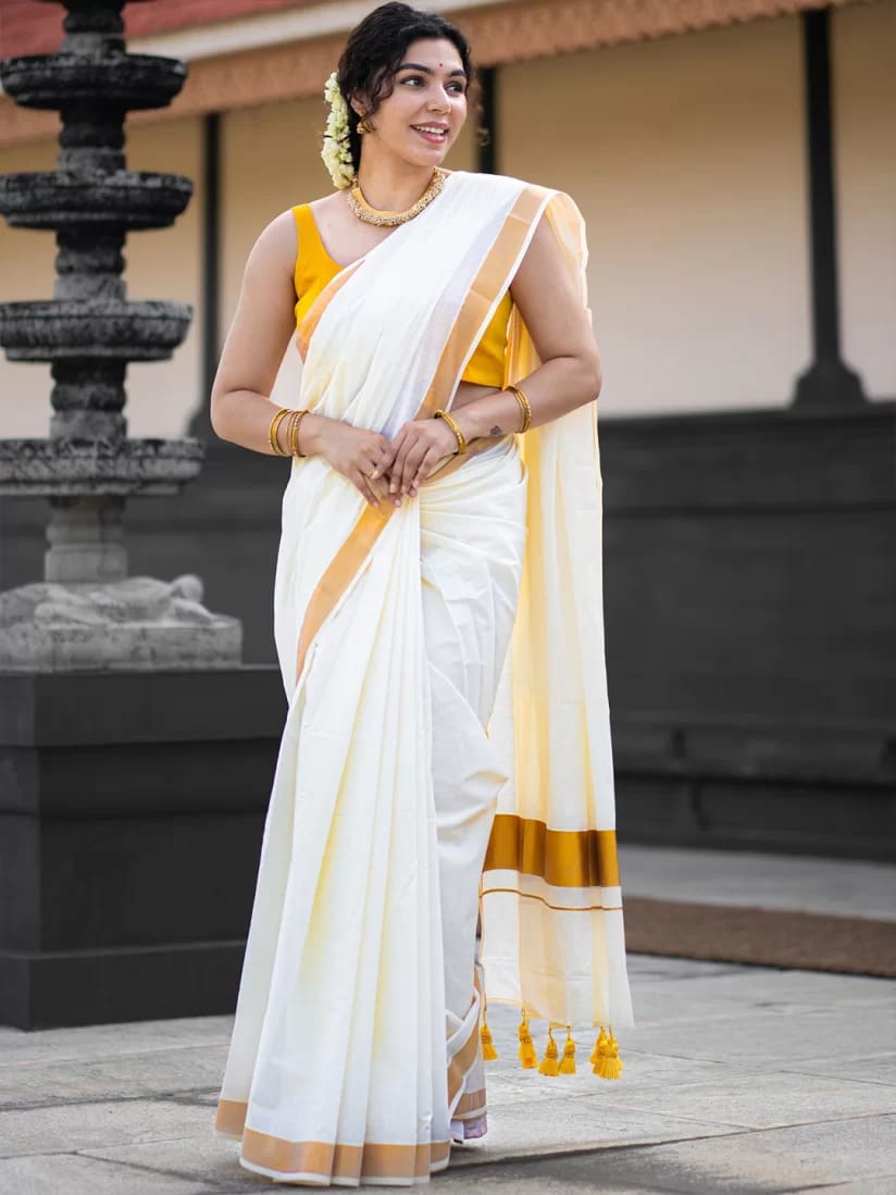 FANCY border Kerala saree